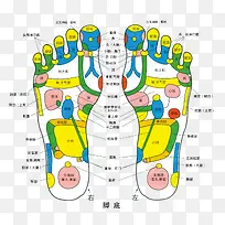 人体足底色彩穴位图