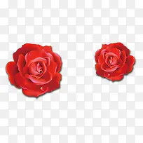 红色玫瑰立体花