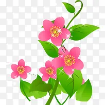 粉色唯美花朵植物亮光创意
