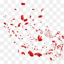 创意合成质感红色的花瓣造型设计