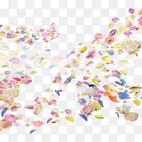 漂浮彩色花瓣