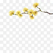 黄色菊花节日装饰树枝