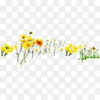 春季黄白色雏菊花海