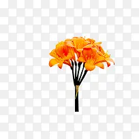 花元素