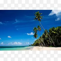 蓝天白云海水沙滩椰树
