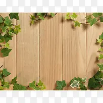 木板与绿叶
