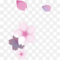 粉色花瓣装饰
