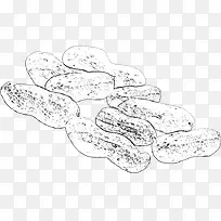 合成创意手绘素描花生