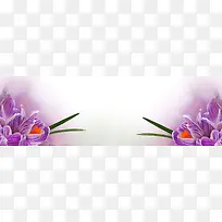 紫色花朵淘宝海报