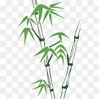 绿色手绘粽叶竹子