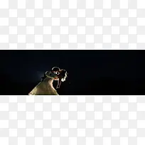 梦幻情侣拥抱亲吻淘宝海报背景