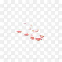 粉红花瓣洒落图片素材