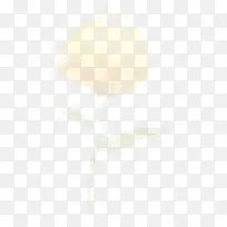 唯美若隐若现浪漫梦幻花朵海报背景图片