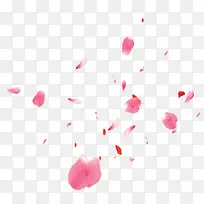 粉色水彩花瓣漂浮素材