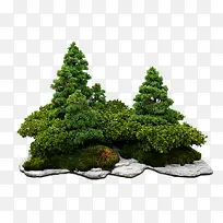 简约灌木丛