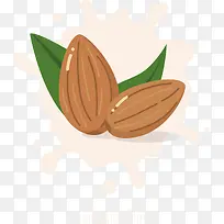 两颗矢量手绘坚果