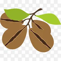 四颗碧根果