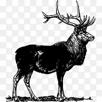 黑色麋鹿矢量动物素材手绘