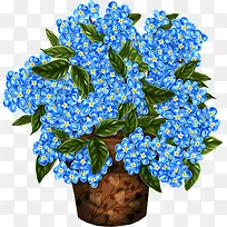 蓝色花盆