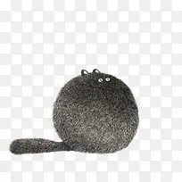 一直球形的黑色猫