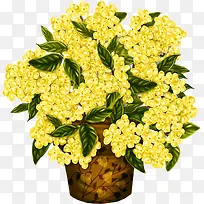 黄色花盆