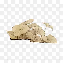 中国内枯萎的荷叶