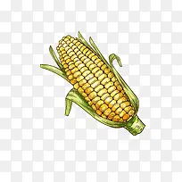 矢量卡通手绘成熟的玉米png