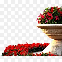 高清摄影创意红色花坛