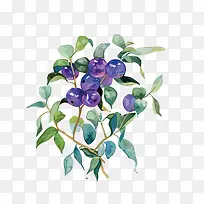 矢量水彩手绘紫色果子