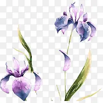 紫色花水墨风