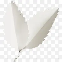 白色树叶