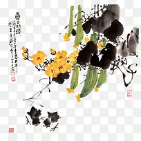手绘丝瓜瓜藤丝瓜花