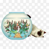 猫咪和鱼缸