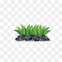 小草