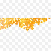 秋天枝头黄色枫叶