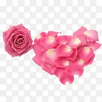 粉色心形玫瑰花