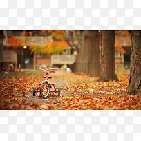 秋天落叶林里的自行车玩具海报背景