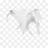 喷溅牛奶健康食品