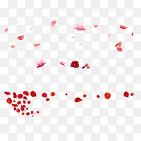 红色漂浮花瓣合集