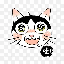 猫脸表情哇