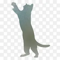站立的猫