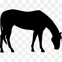 马吃草的黑色剪影图标