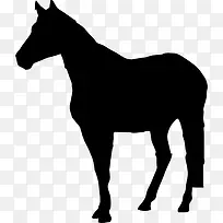 马站在黑色的剪影图标