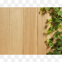 木板上的绿叶