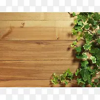 木板上的绿叶