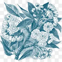 手绘复古素描花朵