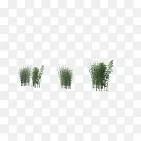 竹树翠竹绿色竹林
