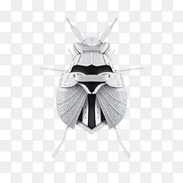 运动昆虫视觉设计艺术