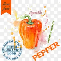 辣椒蔬菜绘画设计矢量素材