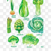 矢量绿色蔬菜图